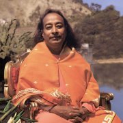 The Great Pool of Consciousness